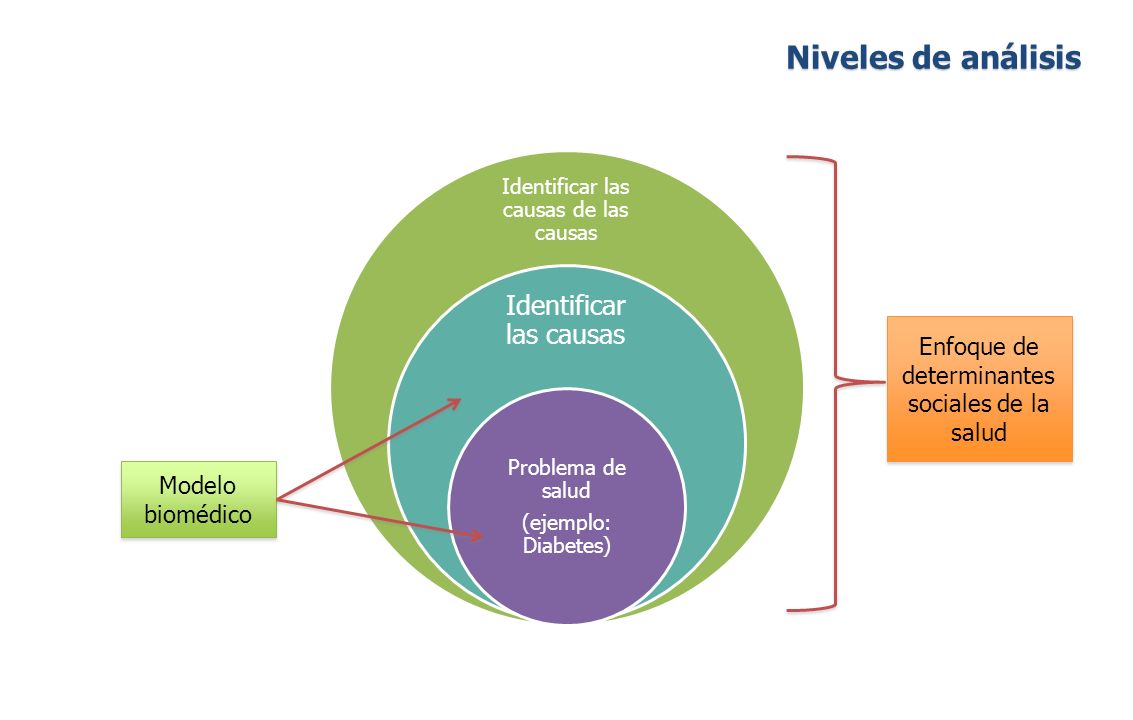 determinantes de la diabetes de salud